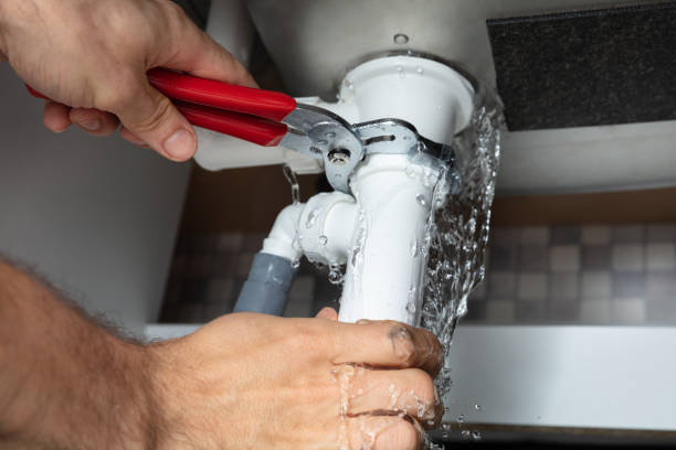 Best Residential water damage restoration  in Alamo, TN