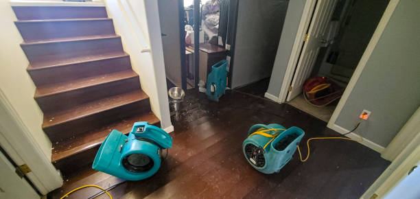 Best Water damage restoration near me  in Alamo, TN