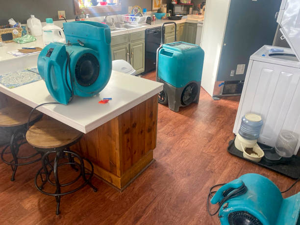 Best Water damage restoration near me  in Alamo, TN