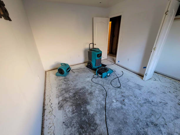Best Water damage restoration services  in Alamo, TN