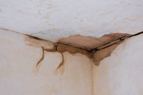 Best Emergency water damage restoration  in Alamo, TN