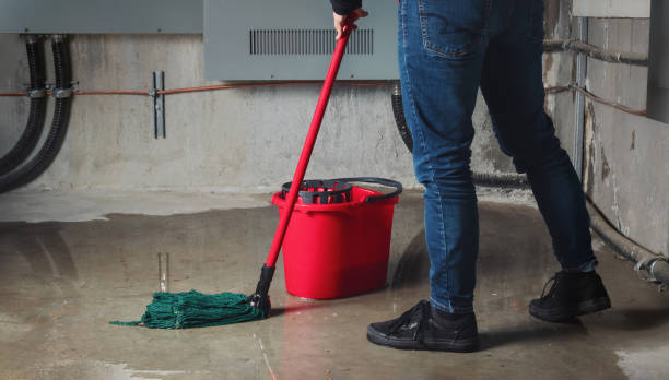 Best Flooded house restoration  in Alamo, TN