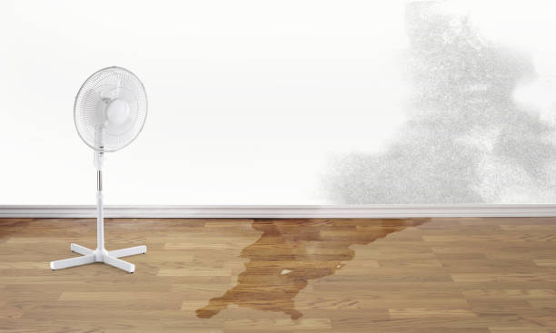 Sewage cleanup and water damage restoration in Alamo, TN