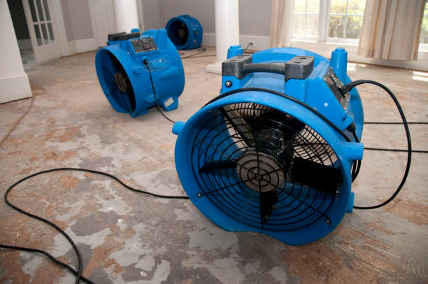 Best 24-hour water damage restoration  in Alamo, TN