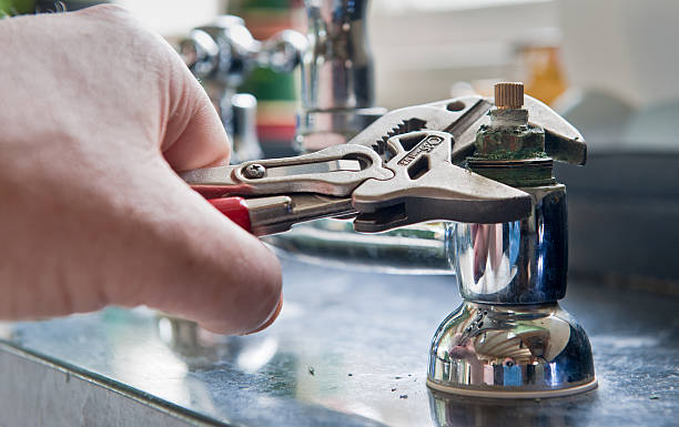 Best Residential water damage restoration  in Alamo, TN