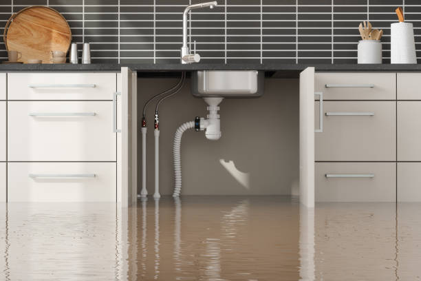 Best Water damage repair service  in Alamo, TN