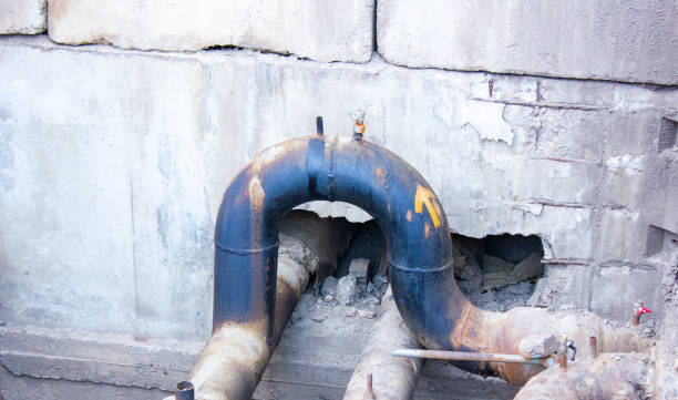 Reliable Alamo, TN Water damage restoration Solutions