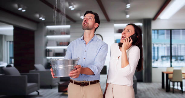Best Local water damage restoration  in Alamo, TN