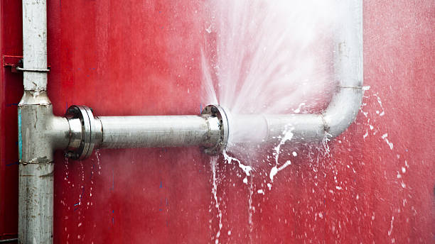 Best 24/7 water damage repair  in Alamo, TN